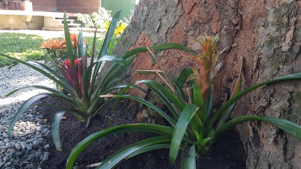 Hospedagem Economica Flor De Maria Caraguatatuba Esterno foto